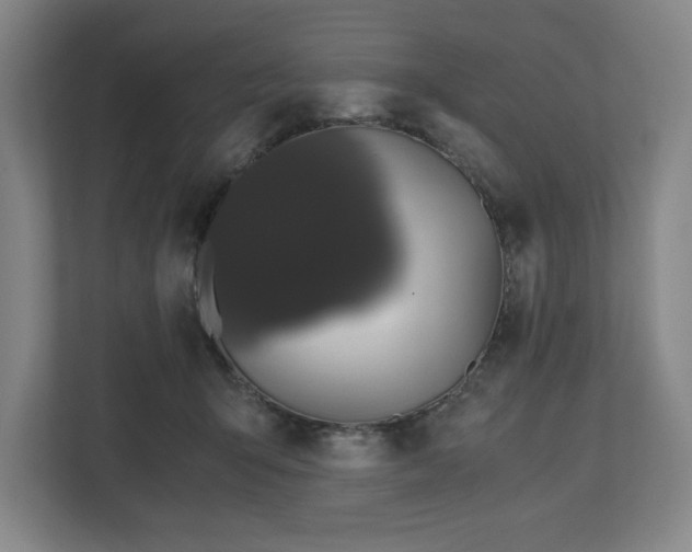 X0000112530415200908241511