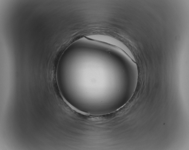 X0000112530417200908241510