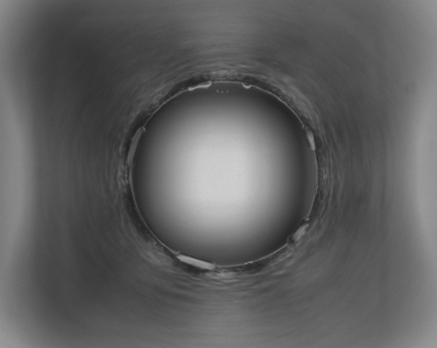 X0000112530419200908241510