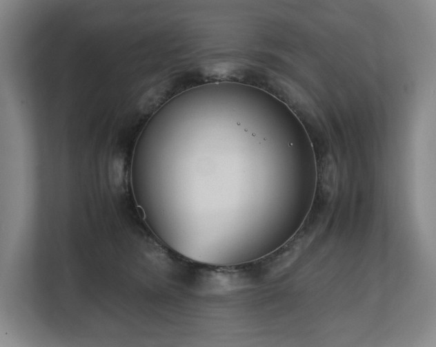 X0000112530420200908241510
