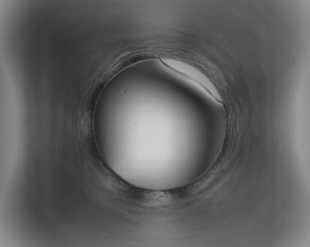X0000112530421200908241510