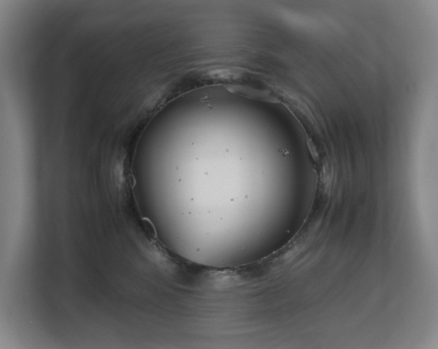 X0000112530424200908241510