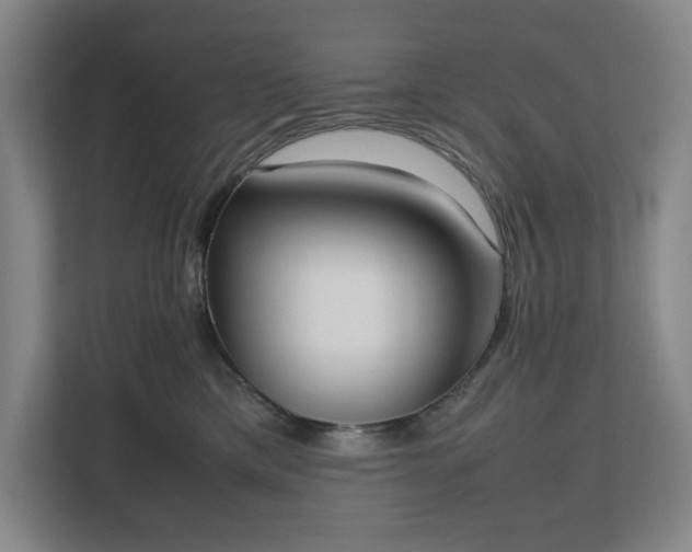 X0000112530425200908241510