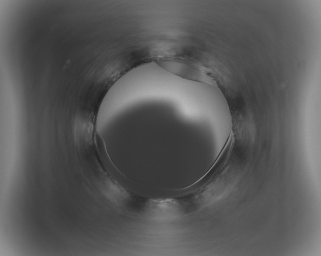 X0000112530427200908241510