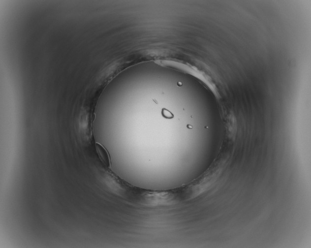 X0000112530428200908241510