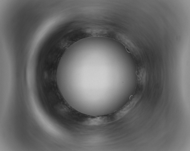 X0000112530430200908241510