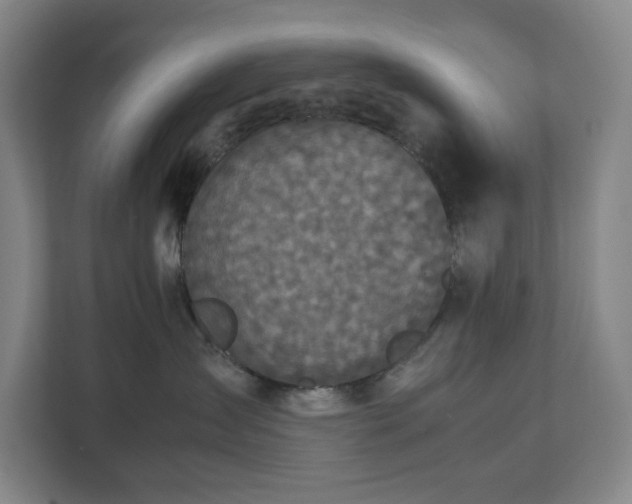 X0000112530431200908241510
