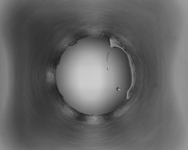 X0000112530432200908241510