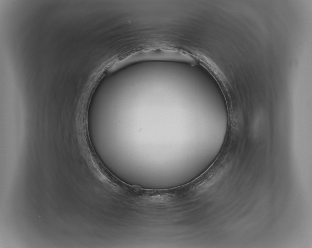 X0000112530433200908241510