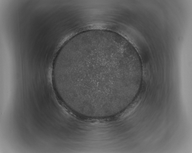 X0000112530434200908241510