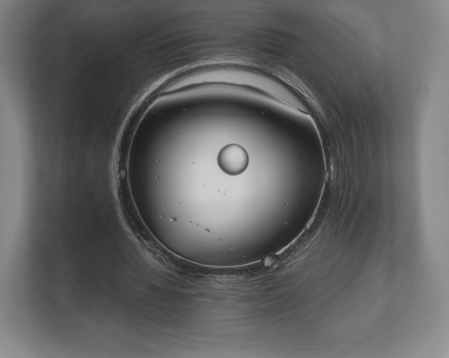 X0000112530436200908241510