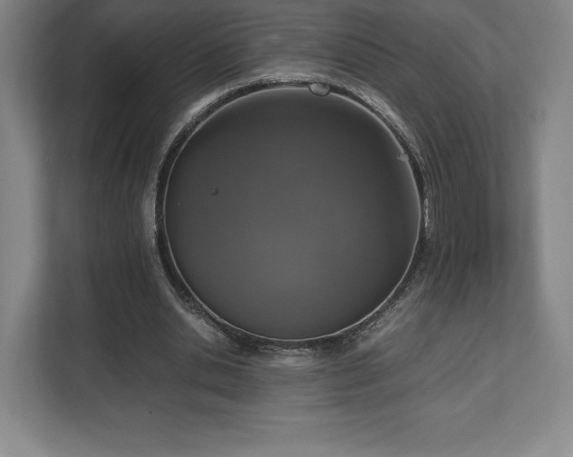 X0000112530438200908241510