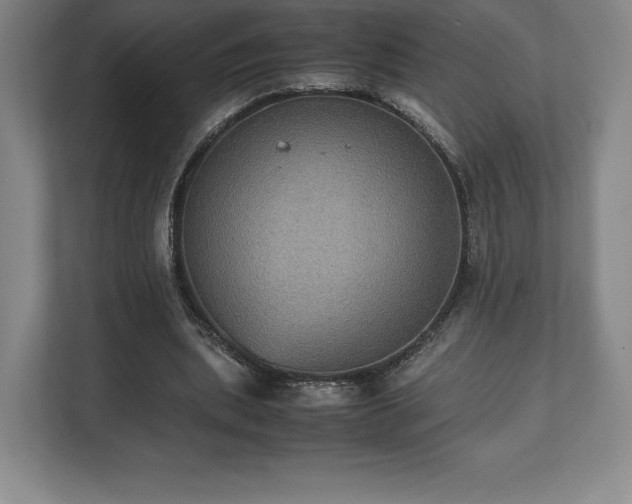 X0000112530439200908241510