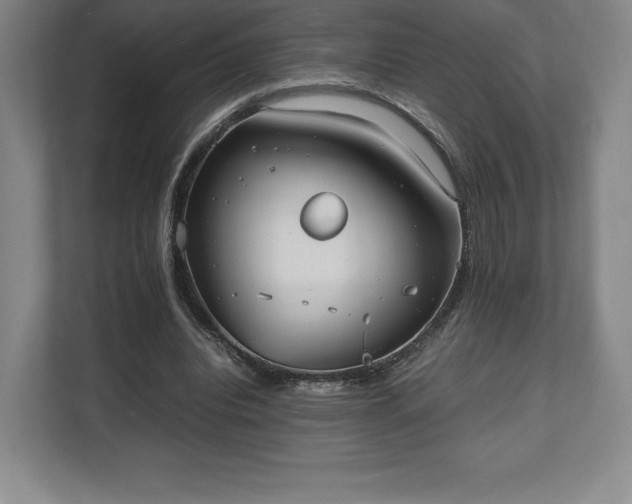 X0000112530440200908241510