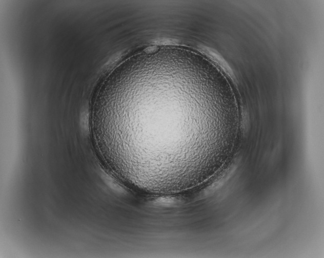 X0000112530441200908241510