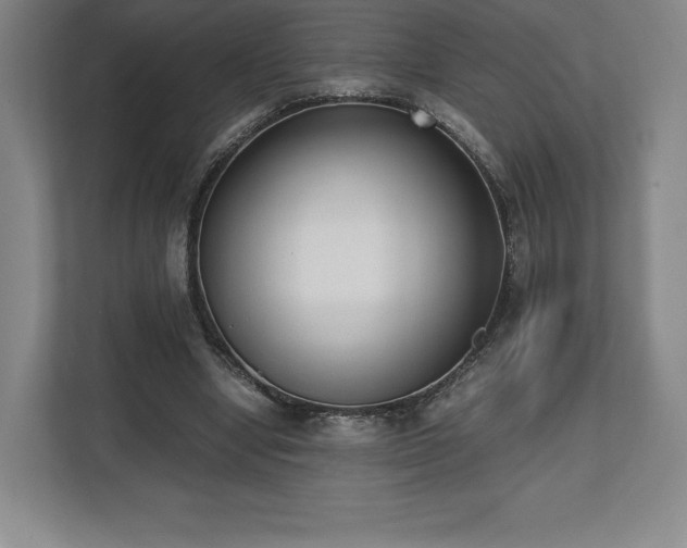X0000112530442200908241510