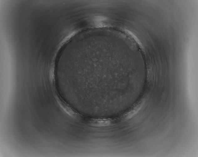 X0000112530443200908241510