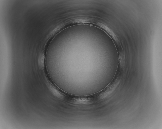 X0000112530445200908241510