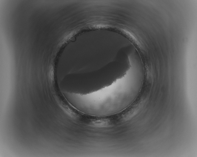 X0000112530447200908241510