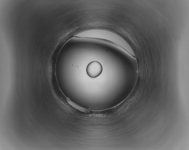X0000112530448200908241510
