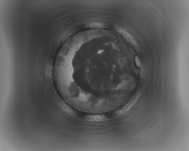 X0000112530449200908241510