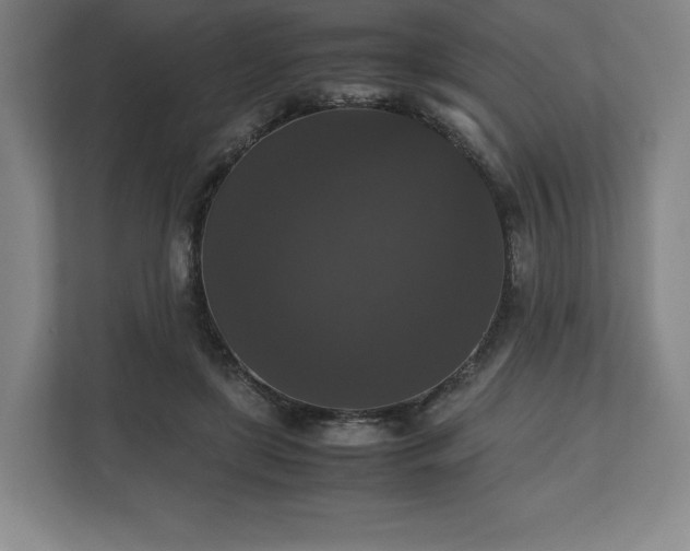 X0000112530451200908241510