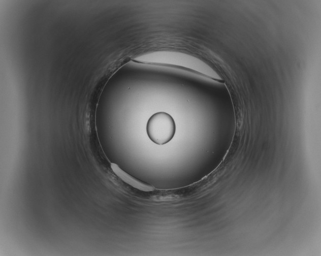 X0000112530452200908241510