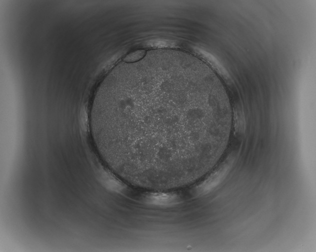 X0000112530453200908241510