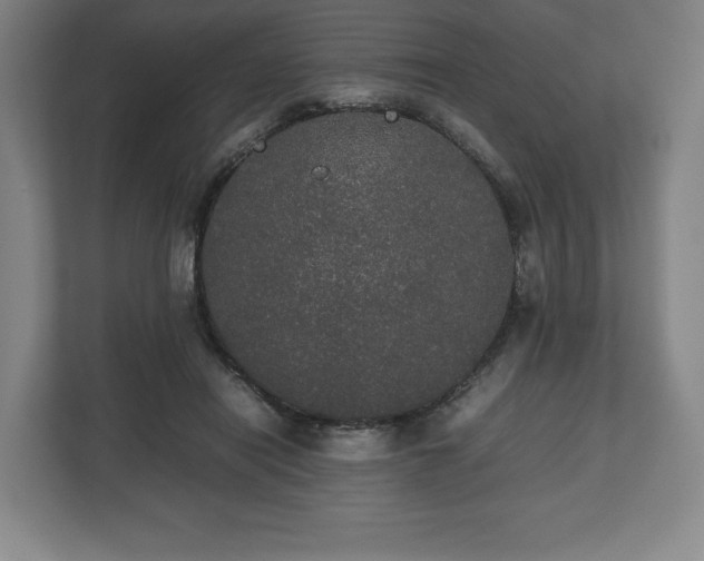 X0000112530454200908241510