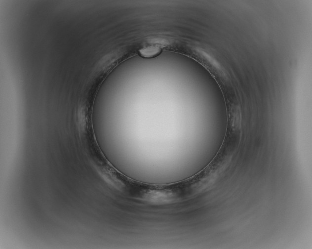X0000112530455200908241510