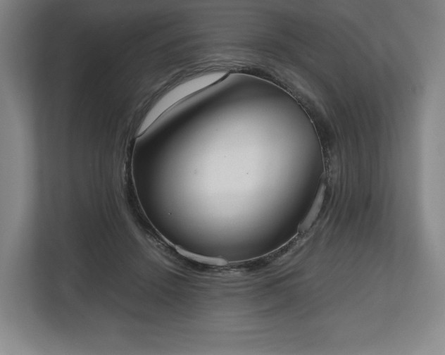 X0000112530456200908241510