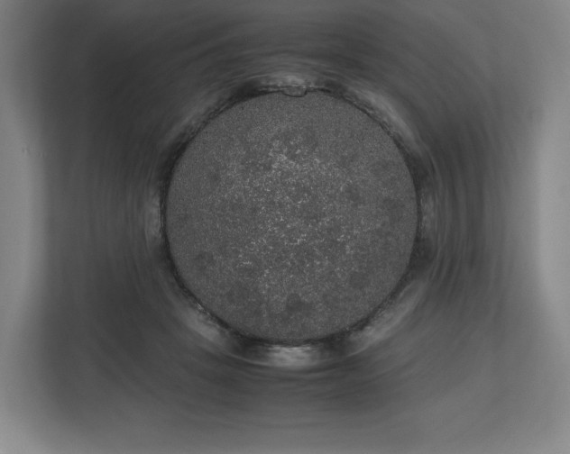 X0000112530457200908241510