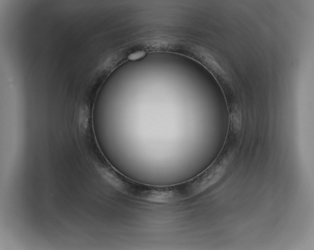 X0000112530458200908241510