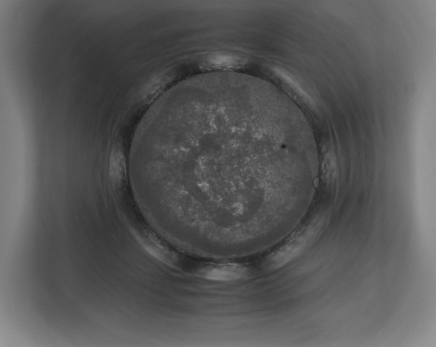 X0000112530459200908241510
