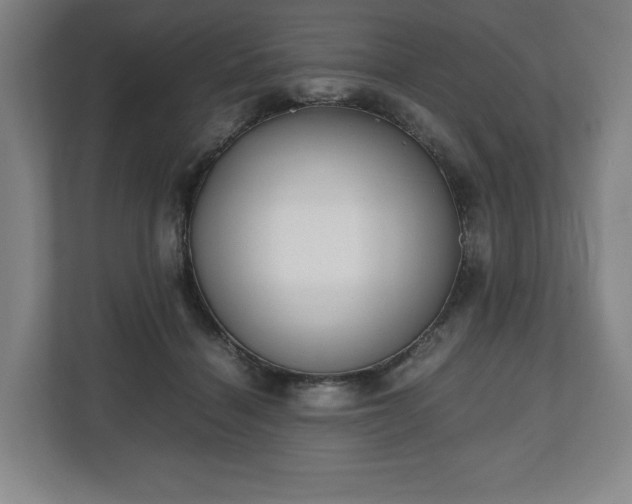 X0000112530460200908241510