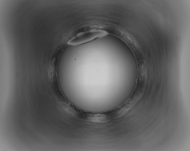 X0000112530463200908241510