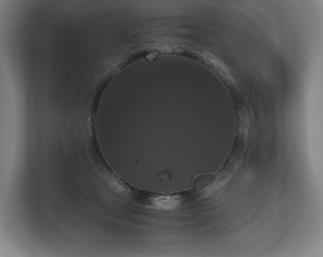 X0000112530465200908241510