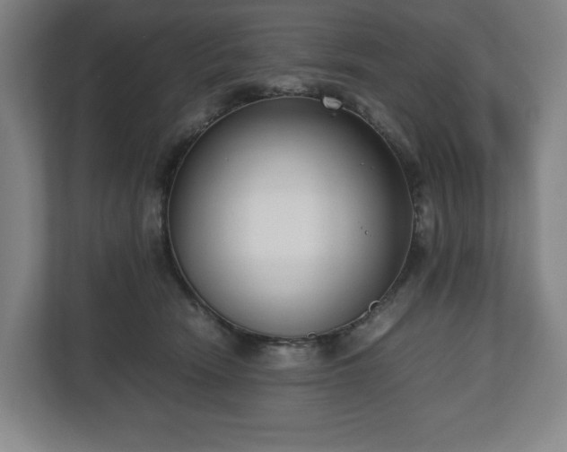 X0000112530466200908241510