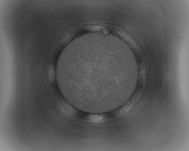 X0000112530469200908241510