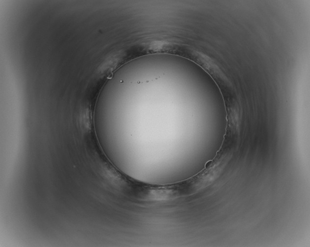 X0000112530470200908241510