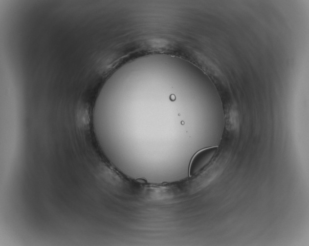 X0000112530472200908241510