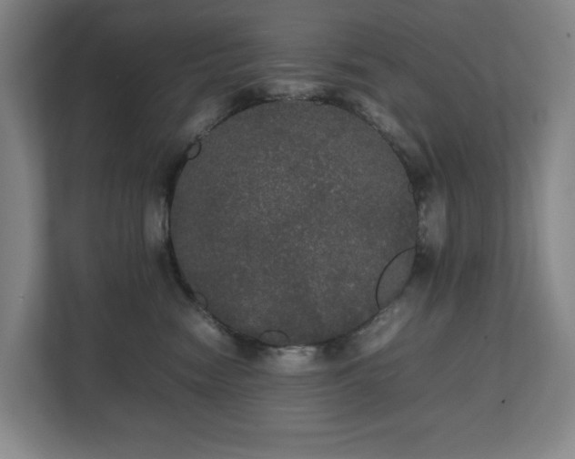 X0000112530474200908241510