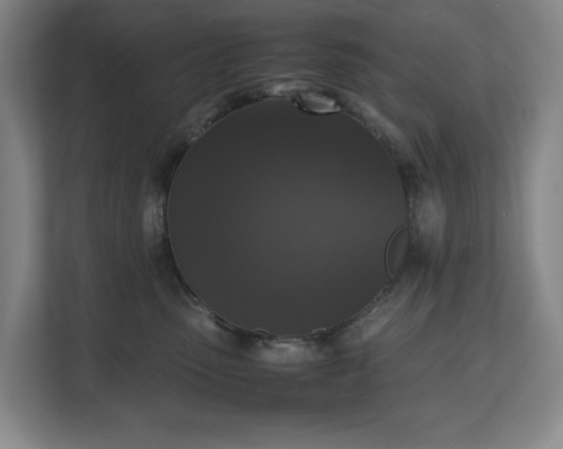 X0000112530475200908241510