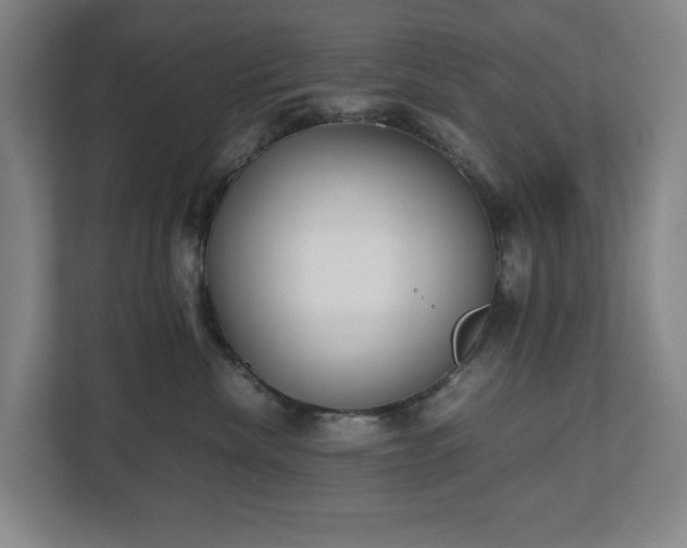 X0000112530476200908241510