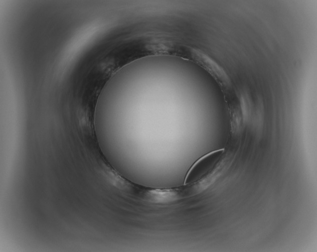 X0000112530477200908241510