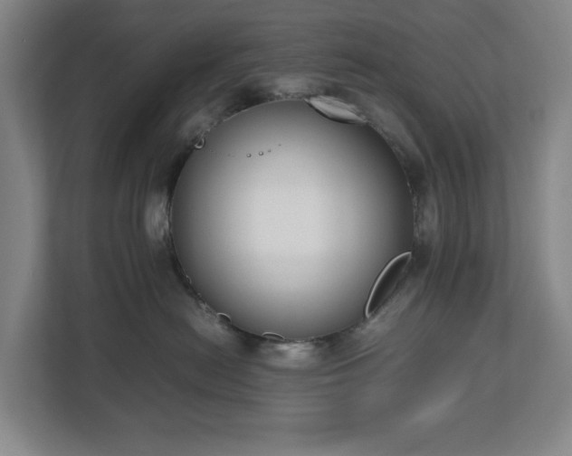 X0000112530478200908241510