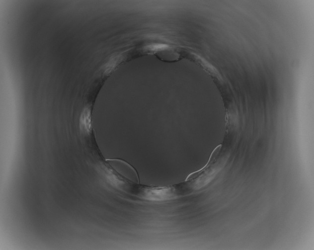X0000112530479200908241510
