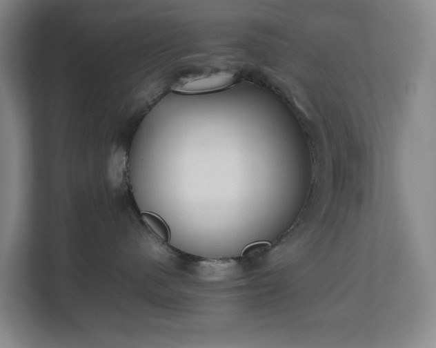 X0000112530480200908241510