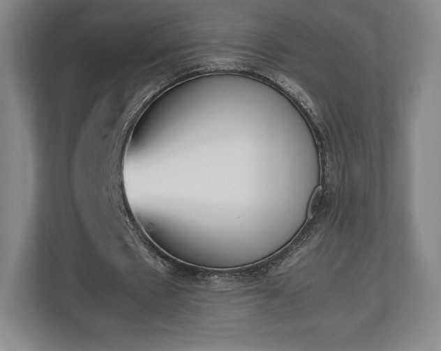 X0000112530481200908241510