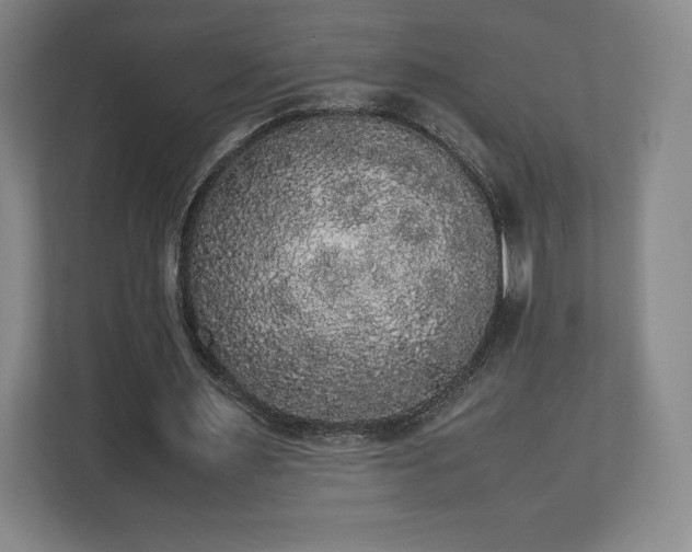 X0000112530483200908241510